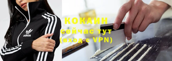 ПСИЛОЦИБИНОВЫЕ ГРИБЫ Пересвет