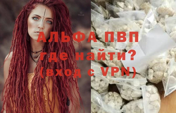 ПСИЛОЦИБИНОВЫЕ ГРИБЫ Пересвет