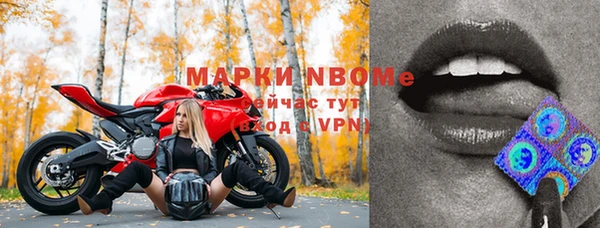 ГАЛЛЮЦИНОГЕННЫЕ ГРИБЫ Пестово