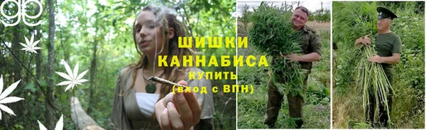 ПСИЛОЦИБИНОВЫЕ ГРИБЫ Пересвет