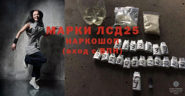 ПСИЛОЦИБИНОВЫЕ ГРИБЫ Пересвет