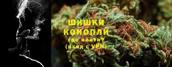 ПСИЛОЦИБИНОВЫЕ ГРИБЫ Пересвет