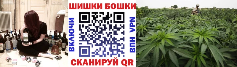 Марихуана семена кракен рабочий сайт Приволжск